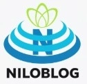 پایان نامه کارشناسی ارشد مدیریت اجرایی کنترل موجودی در انبار